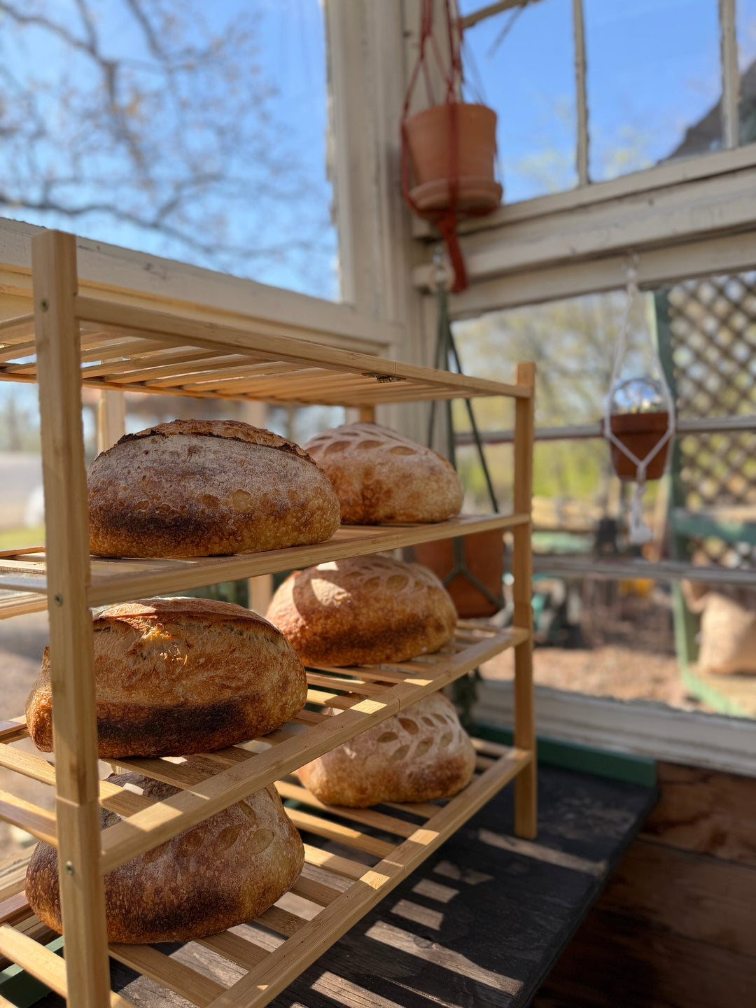 The #1 Mistake New Sourdough Bakers Make (That Leads to Dense Loaves)