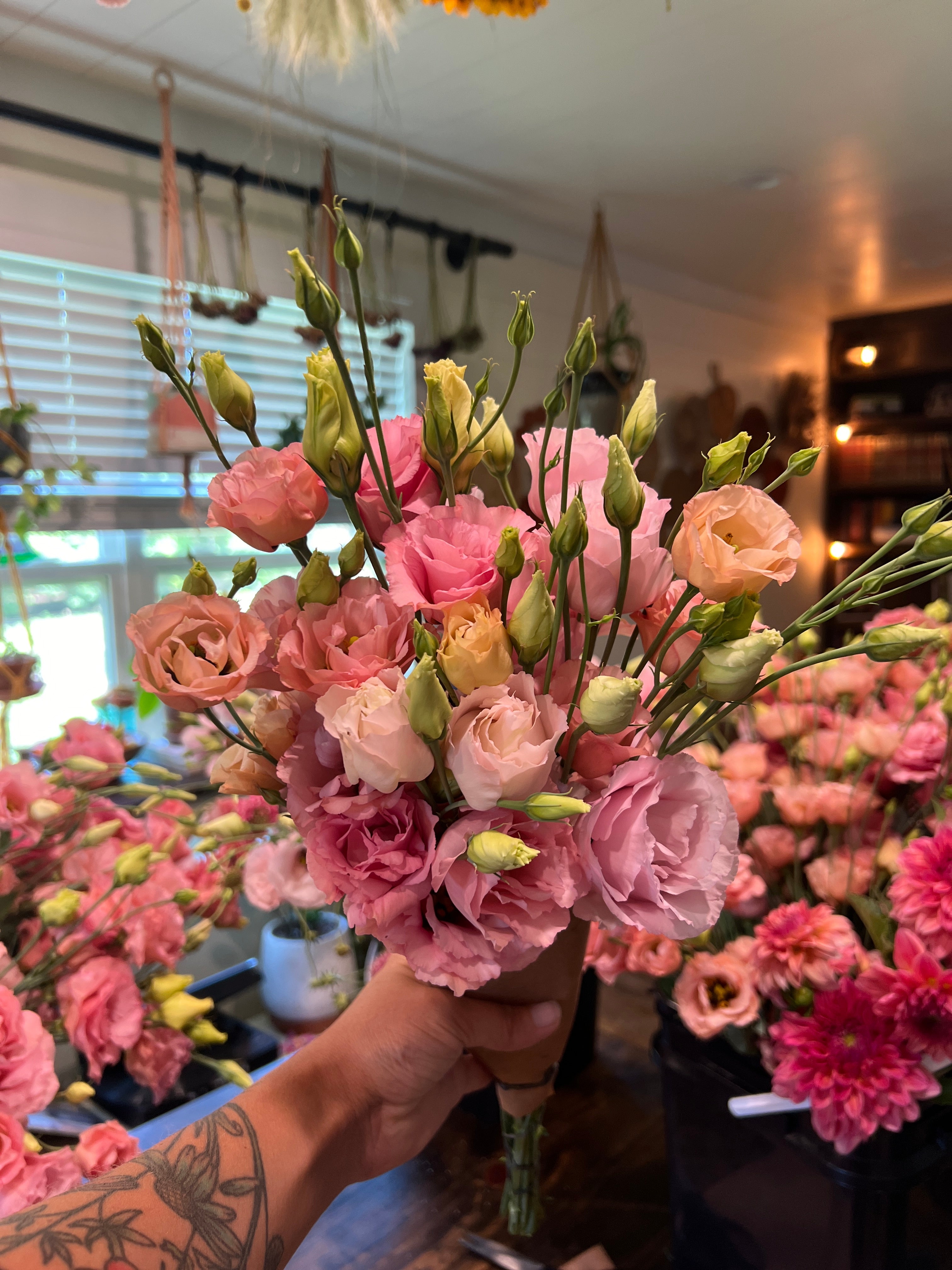 Growing Lisianthus For Beginners