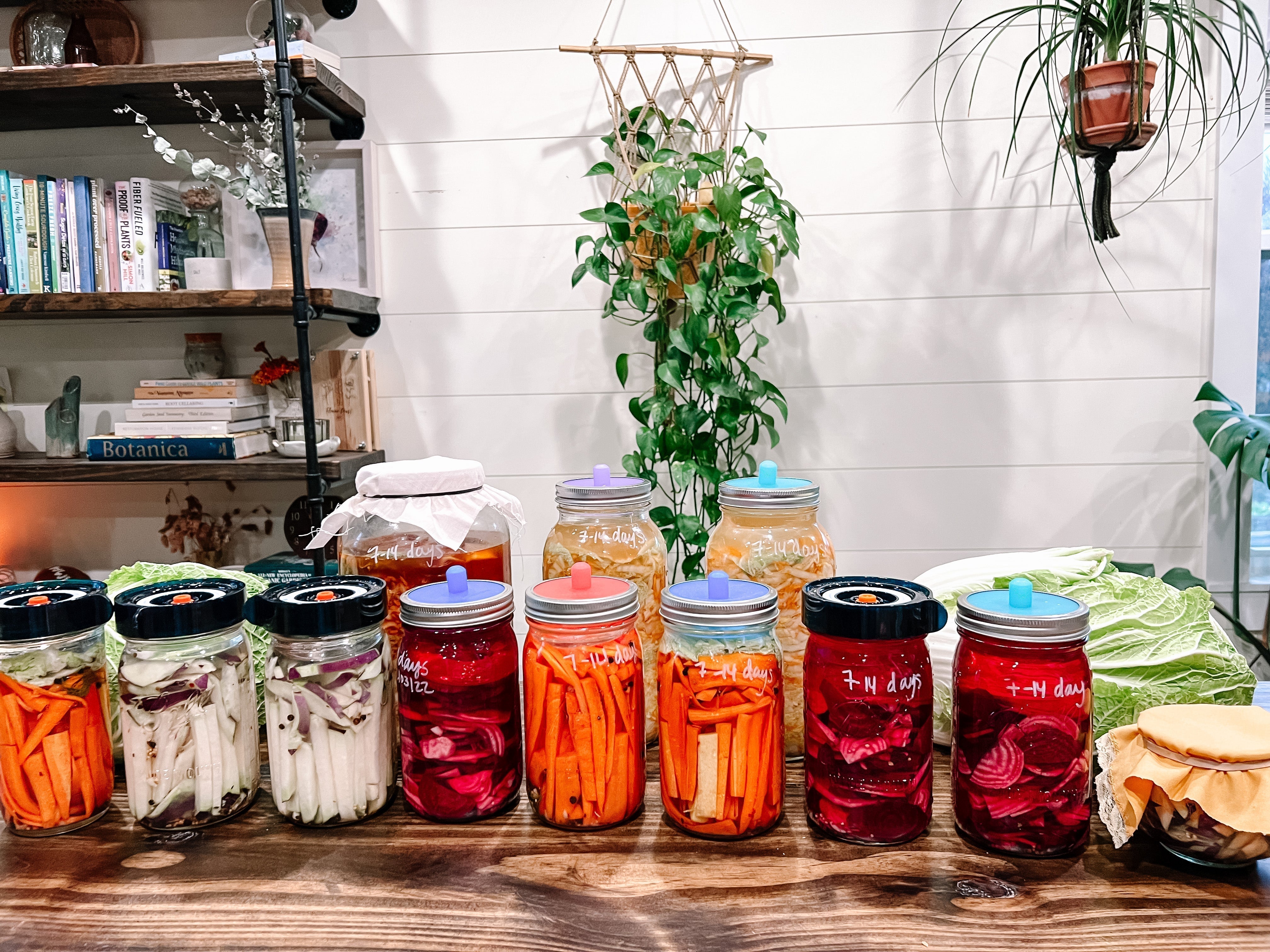 Beginner Ferments to Start Before Your Spring Garden Is Ready