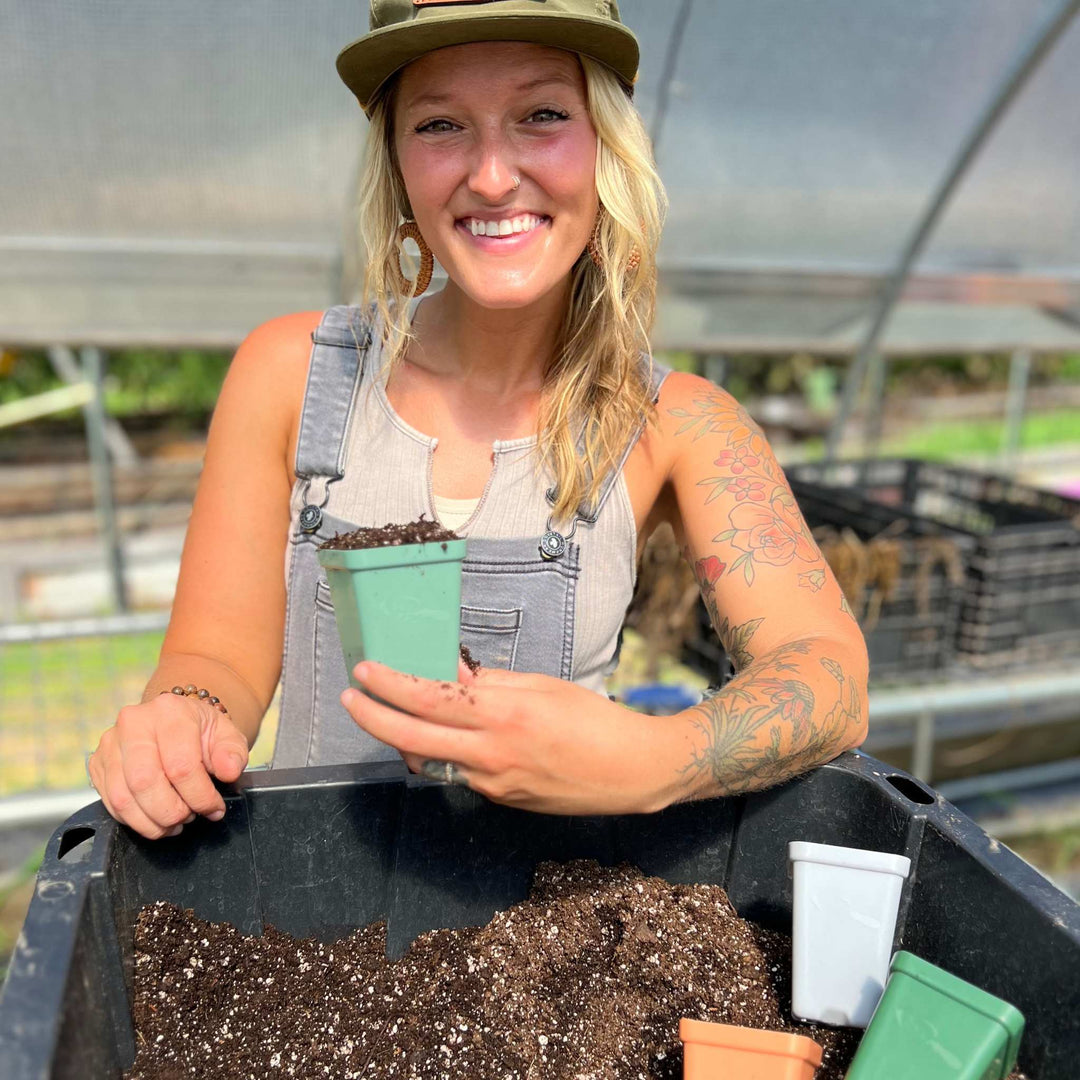 Seed Starting Supplies Checklist (What You Actually Need)