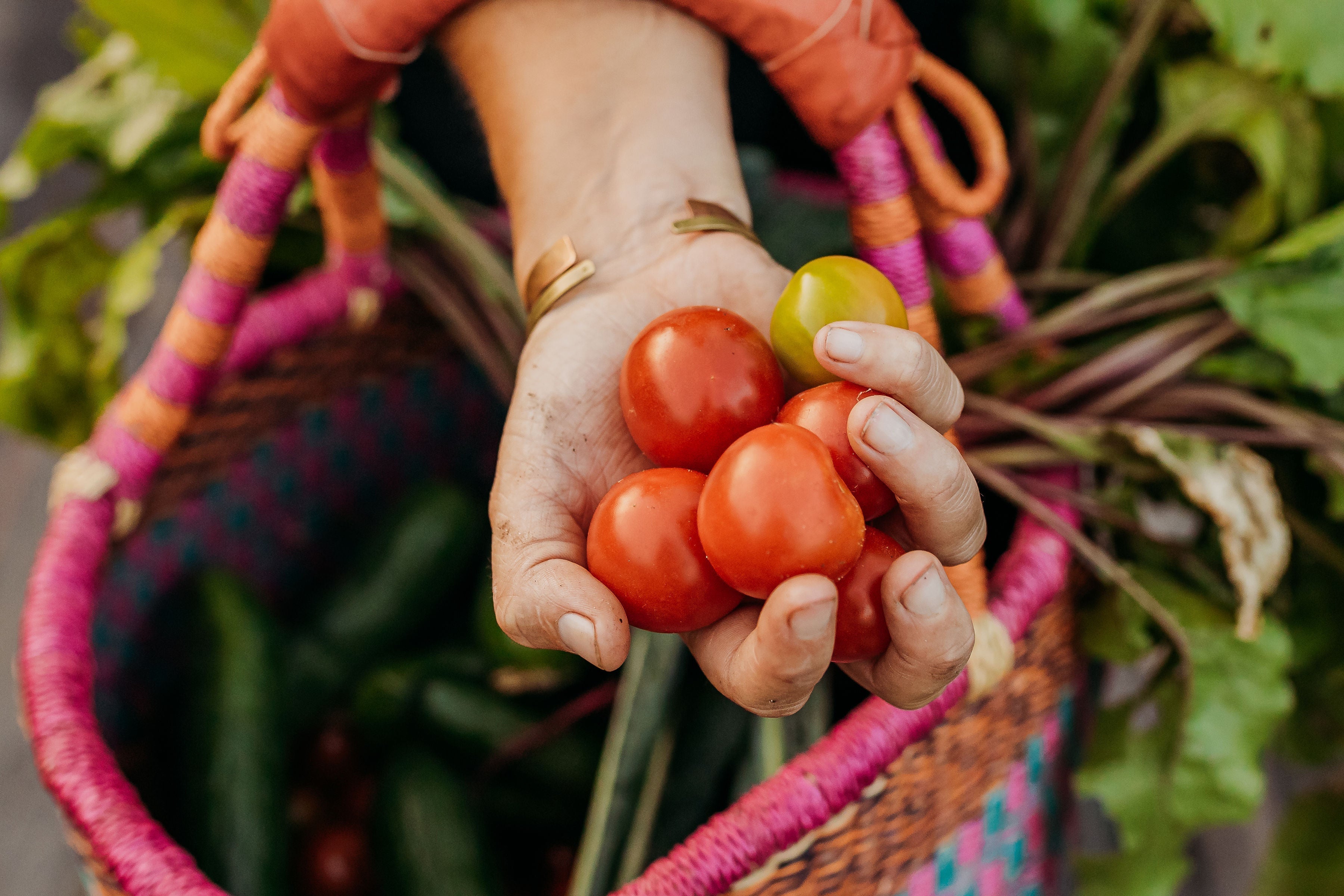 How Much Food Can You Really Grow in 100 Square Feet?
