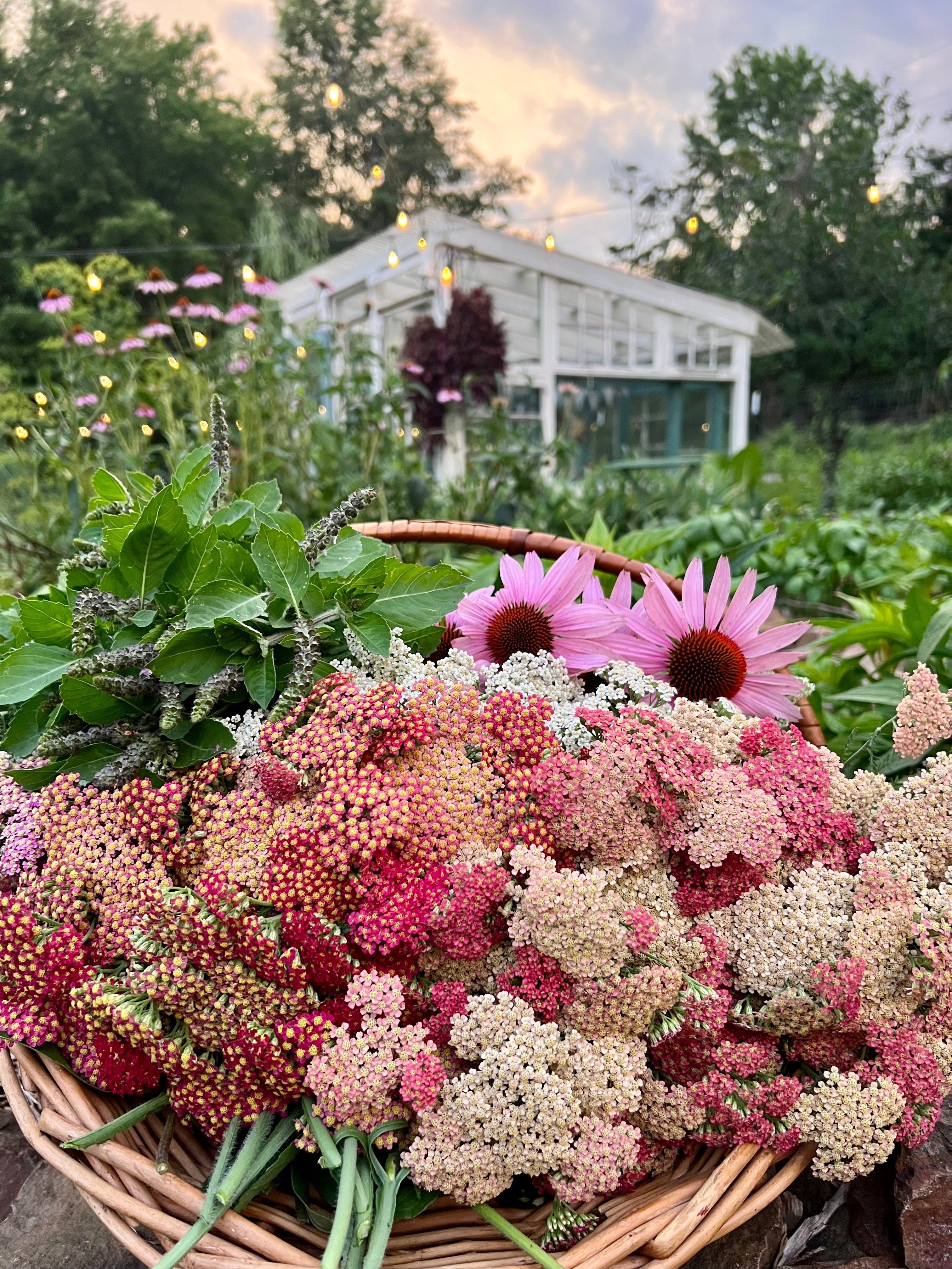 10 Easy Cut Flowers for Beginners