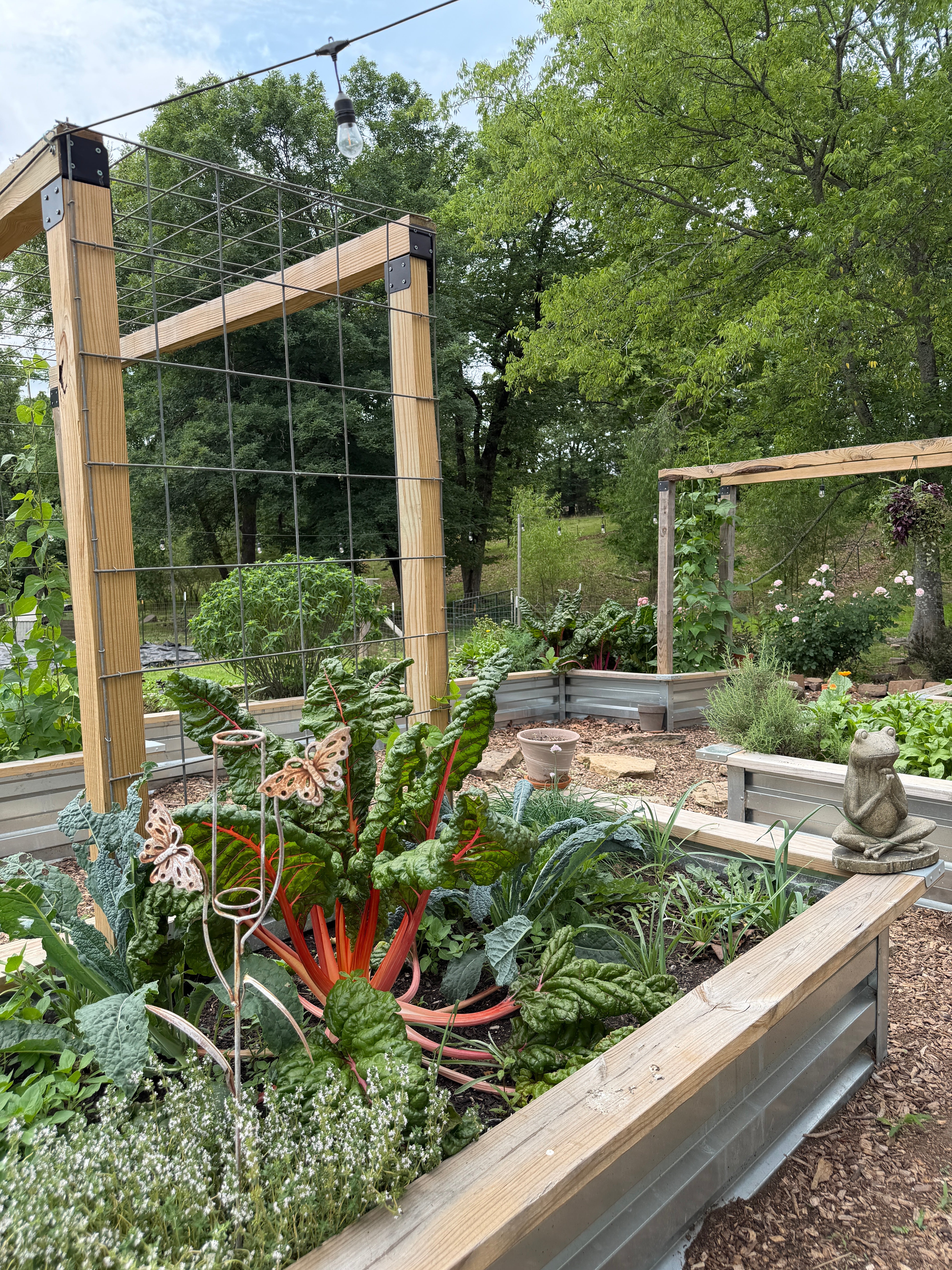 6 Things Every Profitable Backyard Garden Needs
