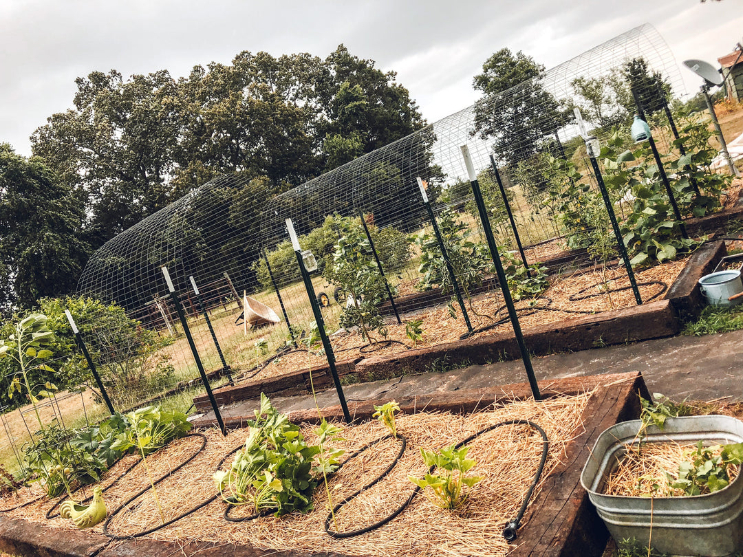 Garden Layout Templates: Simple Ways to Plan a Productive Garden