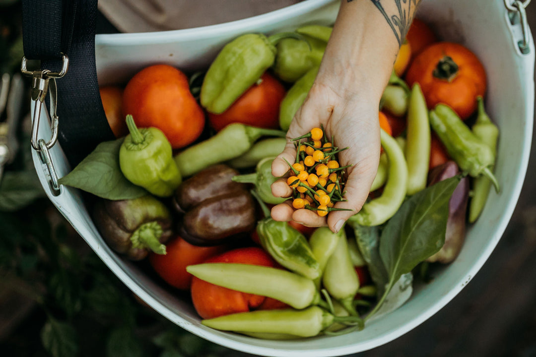 The 10 Crops That Save Us the Most Money in the Garden