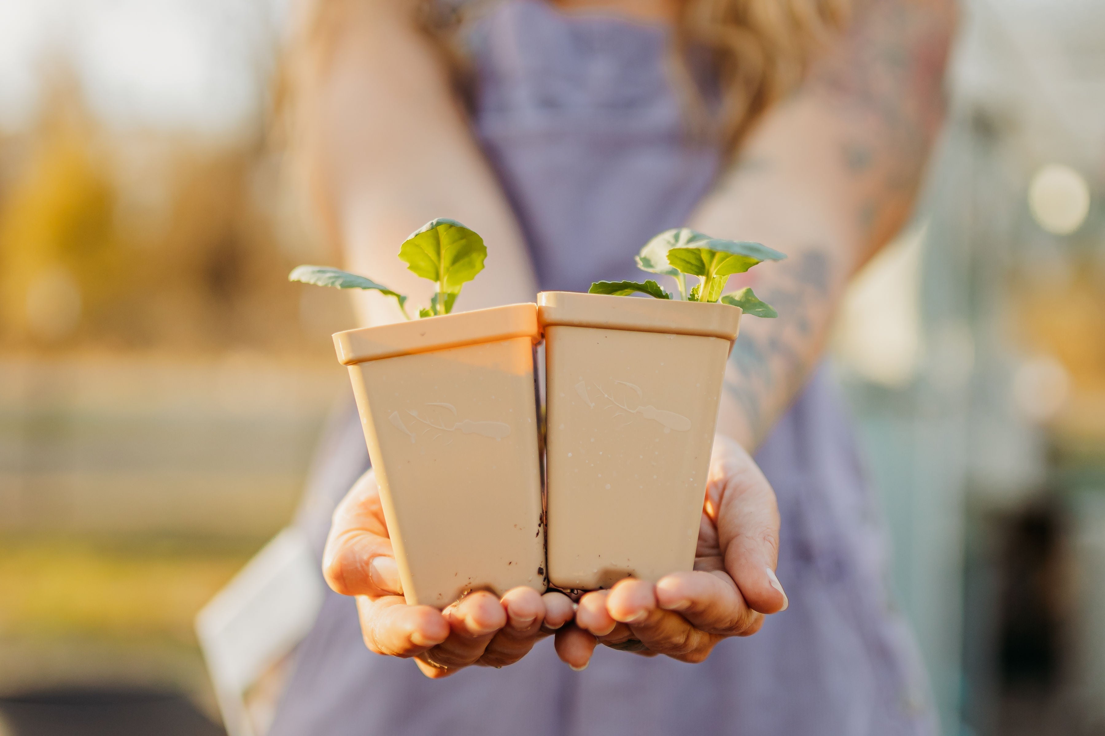 Pricing & Profit Planning for Small Farms
