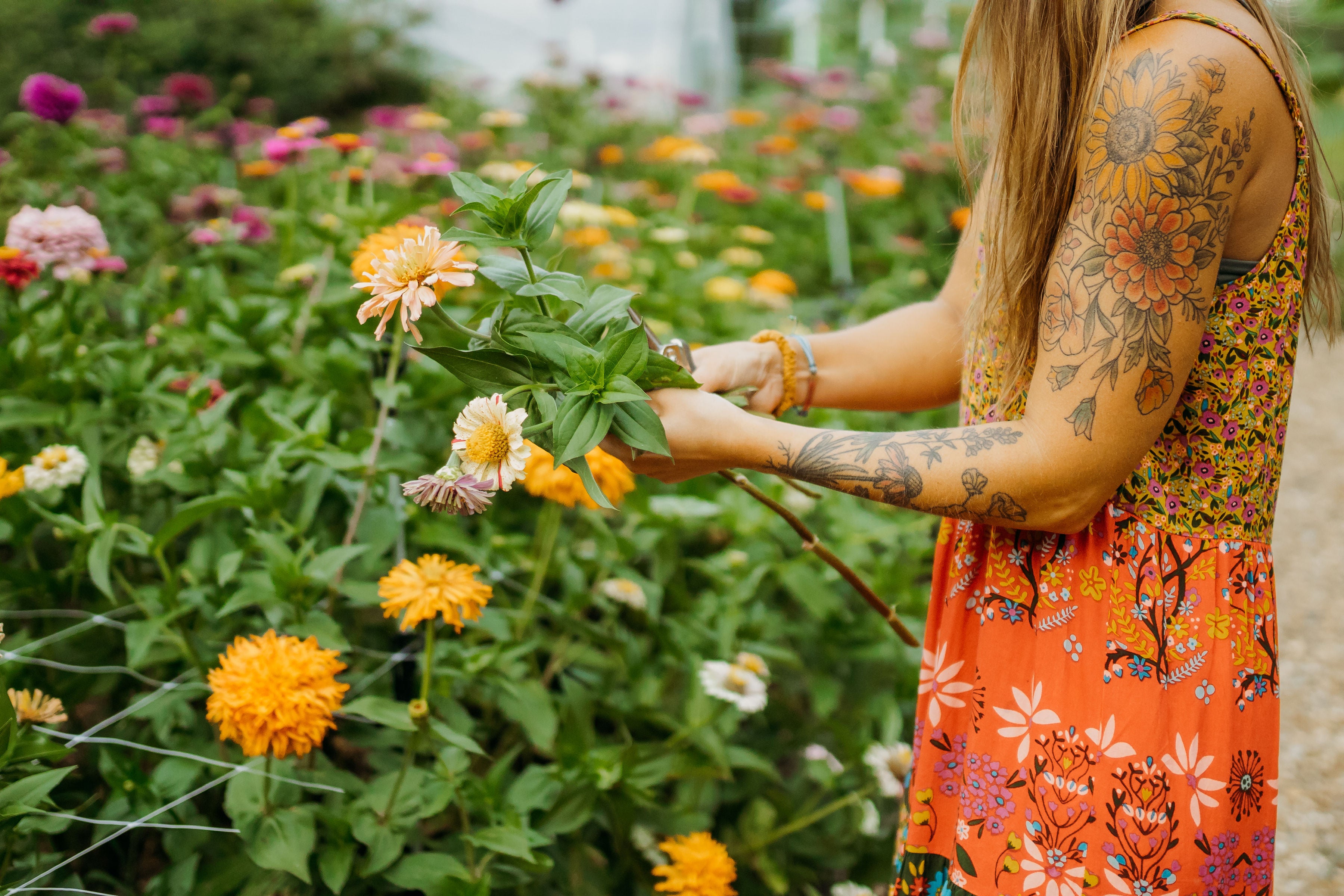 Flowers