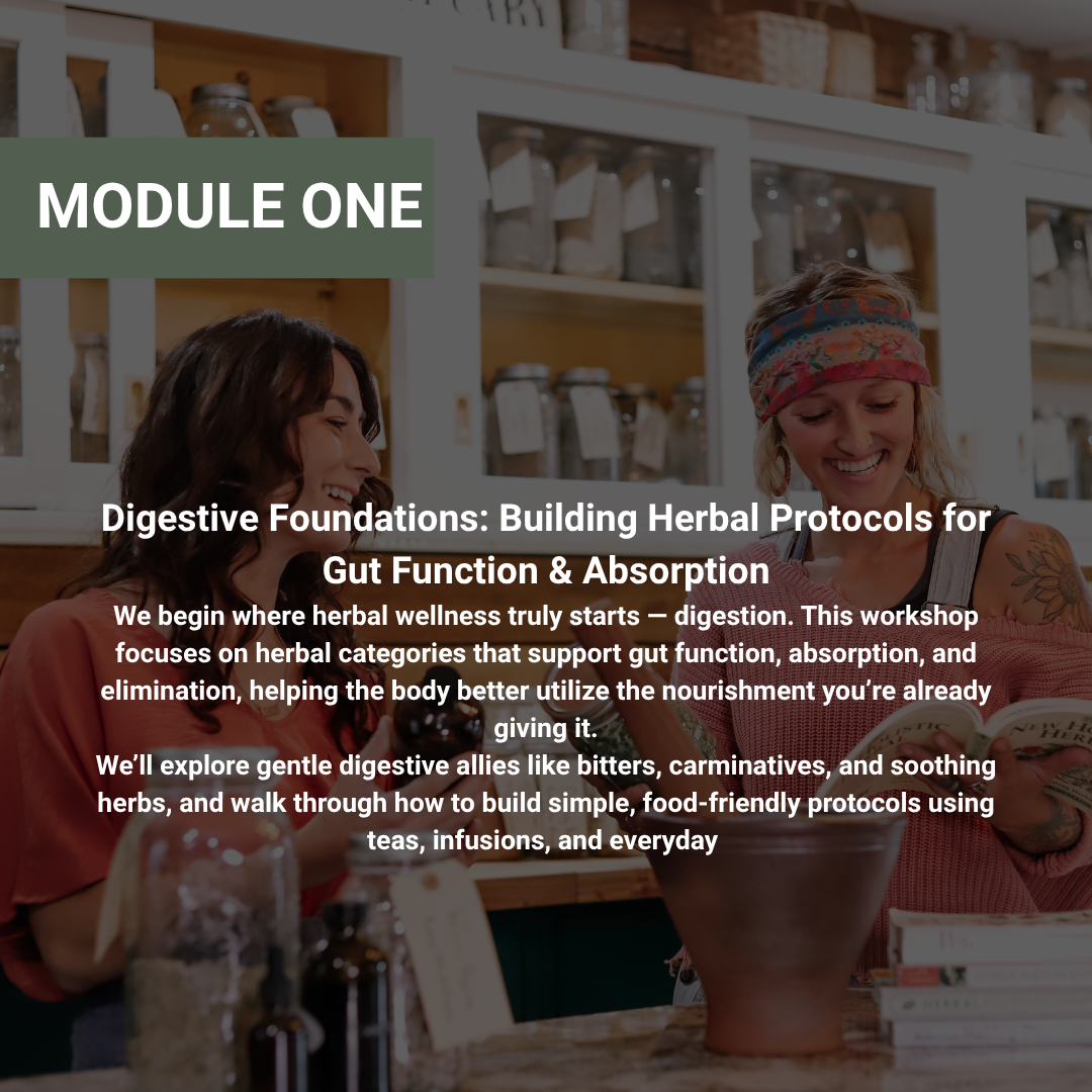 Rooted Wellness Workshop Series (Replay Access)