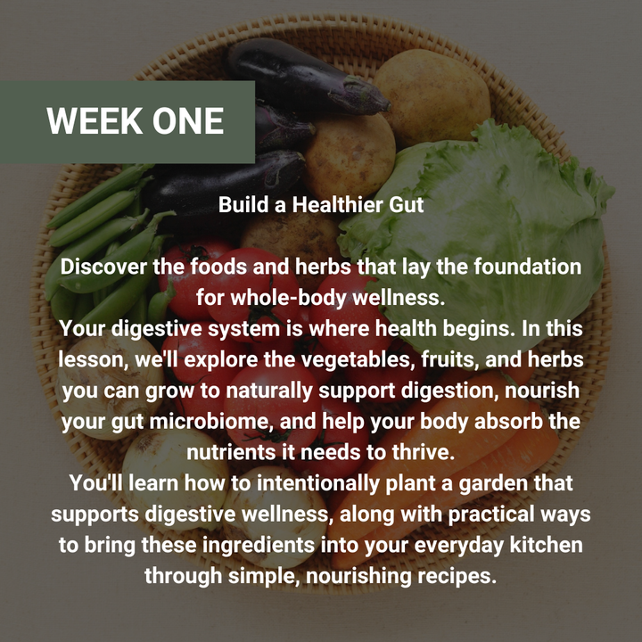 Growing For Your Health Workshop Series