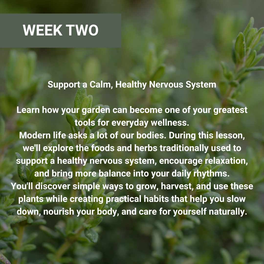 Growing For Your Health Workshop Series