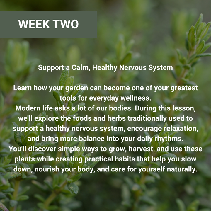 Growing For Your Health Workshop Series