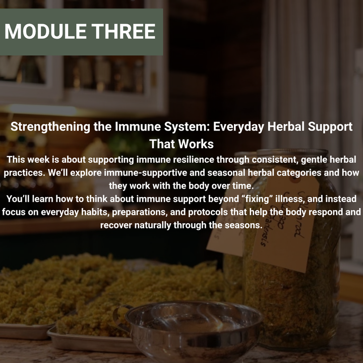Rooted Wellness Workshop Series (Replay Access)