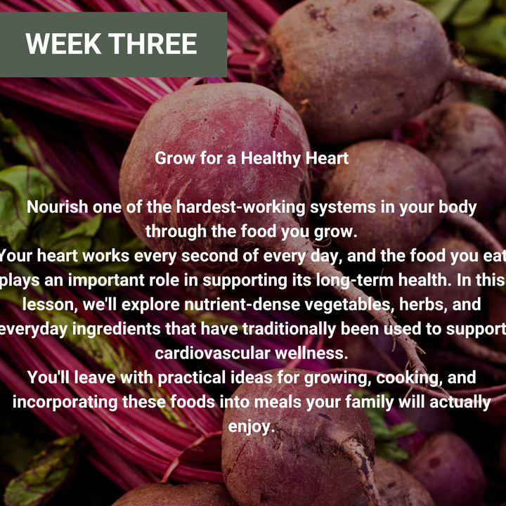 Growing For Your Health Workshop Series