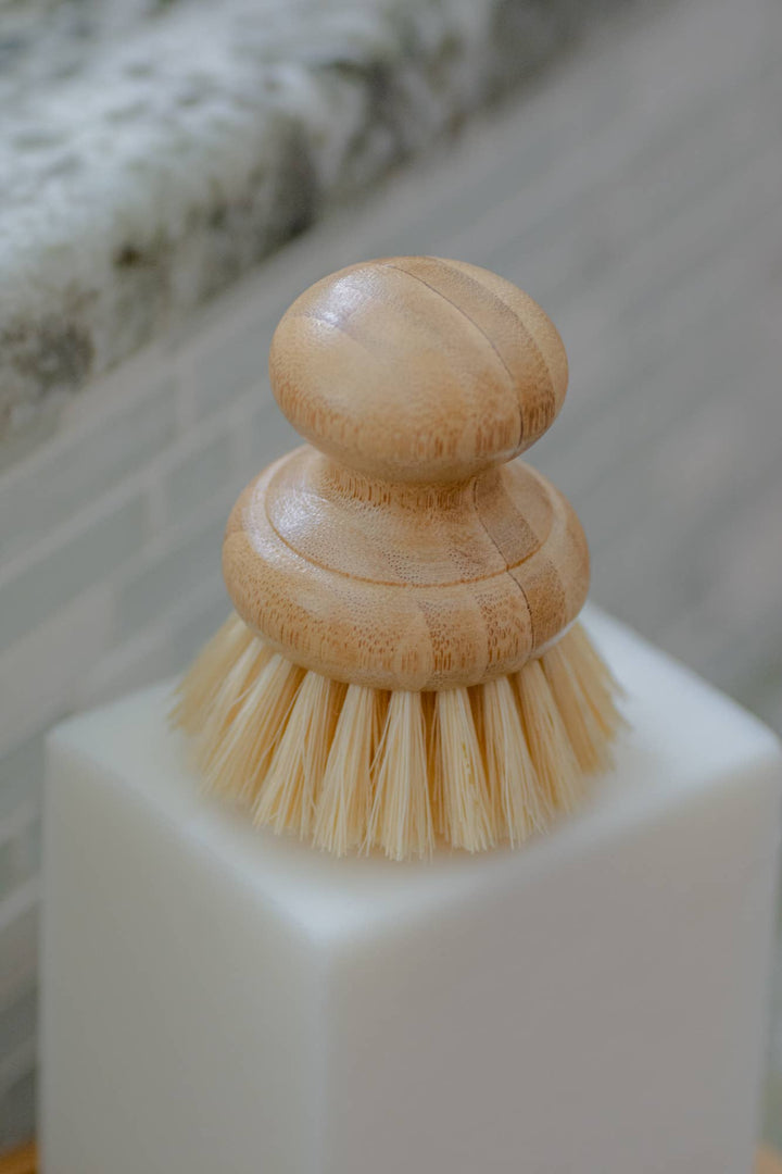 CASA AGAVE® Dish Washing Brush - No Tox Life