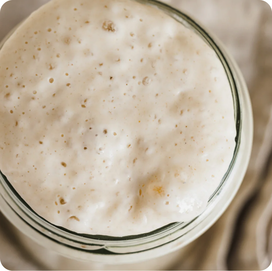 A Taste of Sourdough Cookbook (eBook)