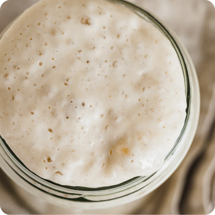 A Taste of Sourdough Cookbook (eBook)