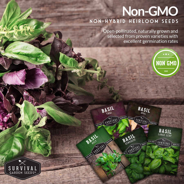Basil Seed Collection - 5 Colorful and Tasty Varieties of Basil
