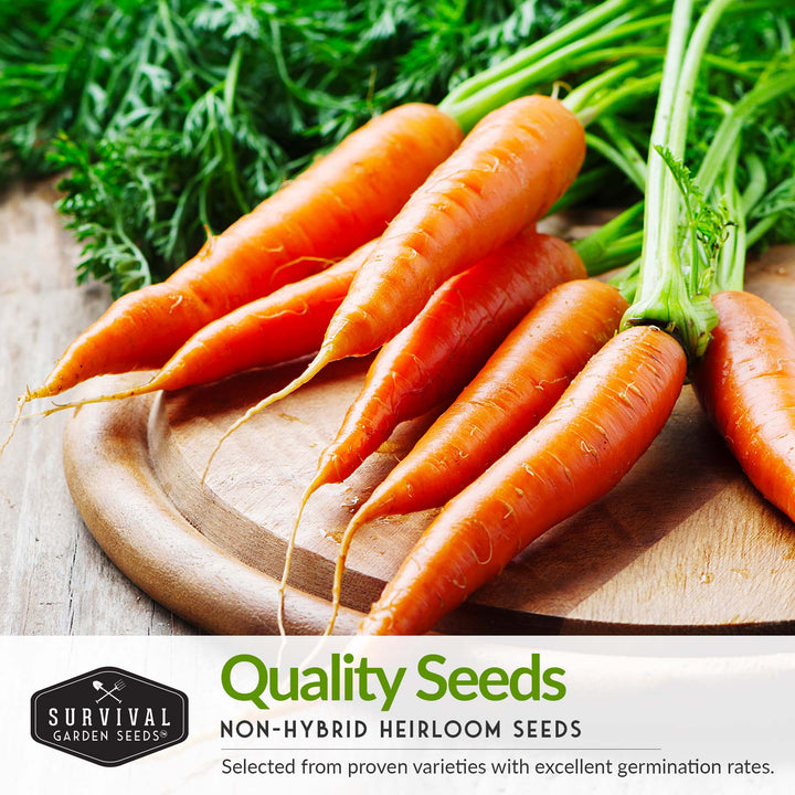 Carrots Collection - Scarlet Nantes, Imperator, Little Fingers, Chantenay Royal, Danvers and Tendersweet