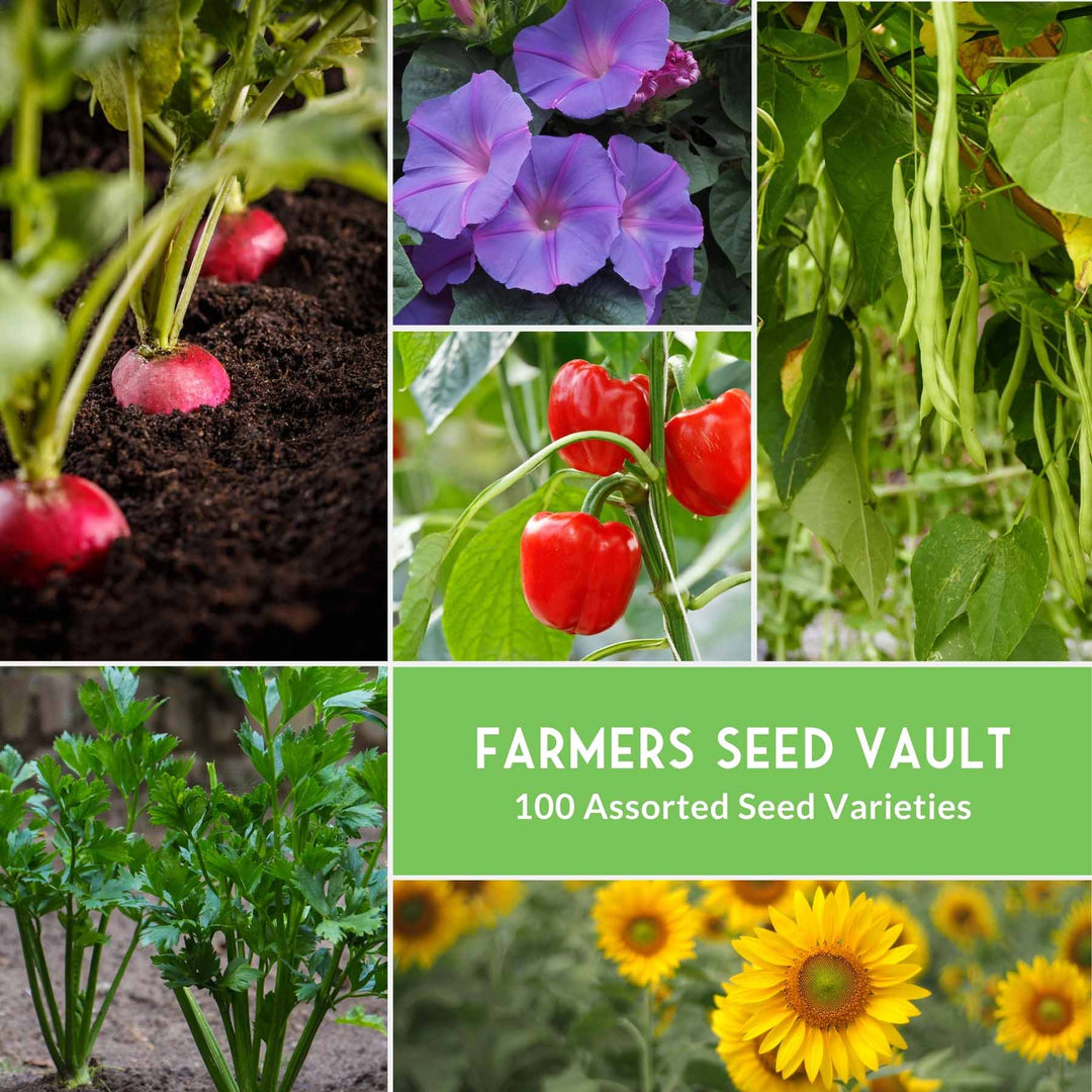Complete Survival Garden Kit – 100 Seeds to Grow Food for Your Family