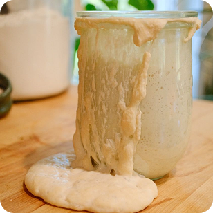 Jar of sourdough starter