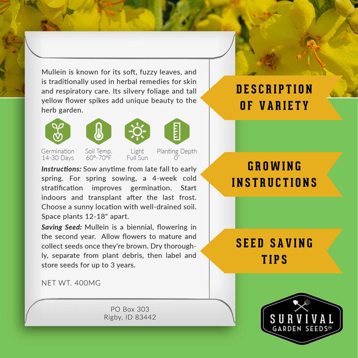 Herbalist Seed Bundle - 9 Important Medicinal Herbs