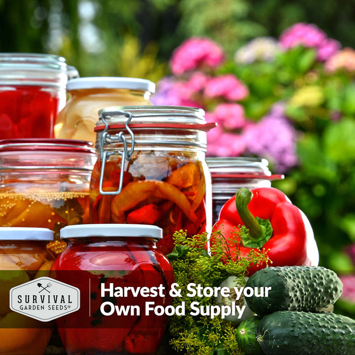 Family Home Garden Kit - 30 Easy to Grow Seeds for a Victory Garden