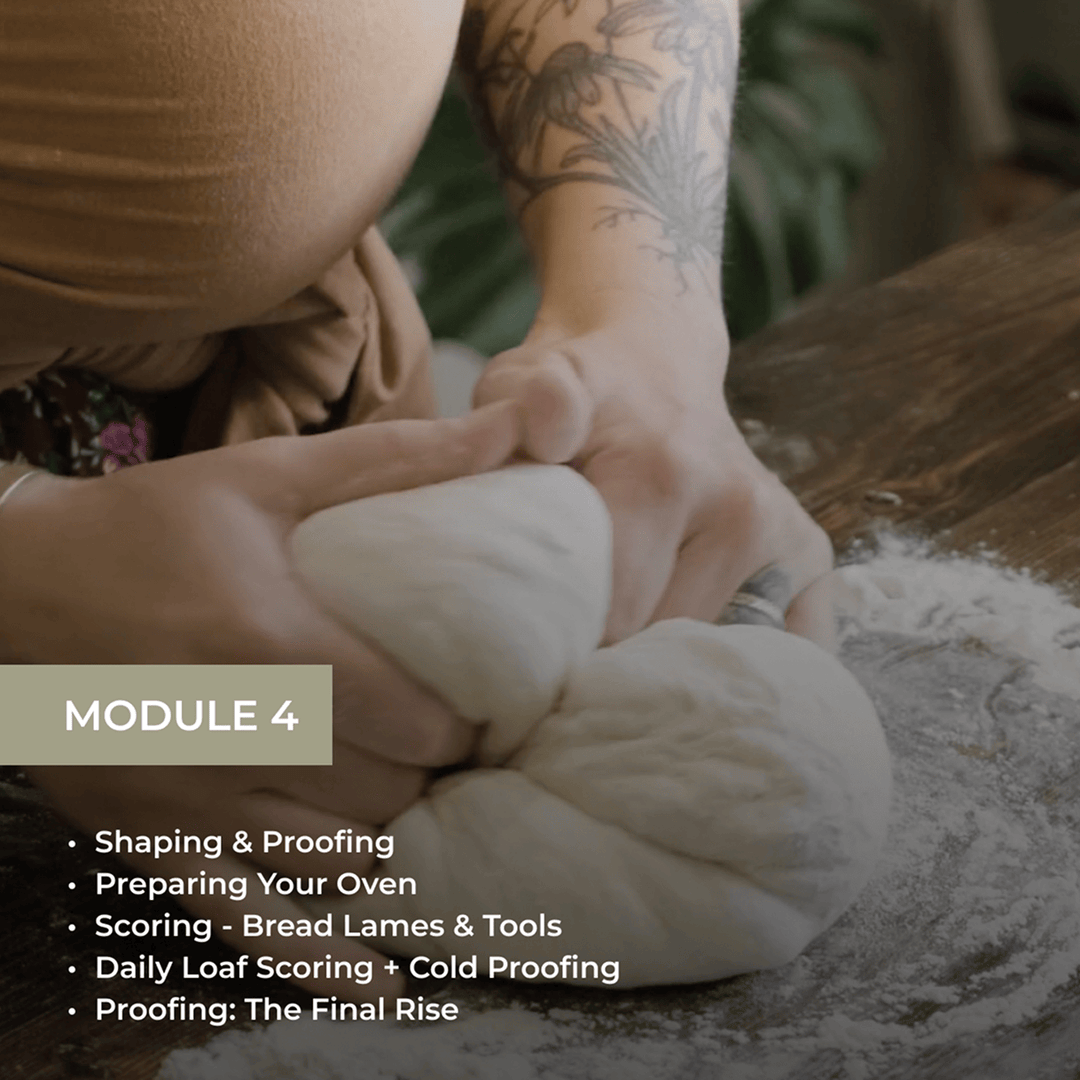Module 4 showing hands shaping dough with topics: Shaping & Proofing, Preparing Your Oven, Scoring Techniques, Daily Loaf Scoring + Cold Proofing, and Proofing: The Final Rise.