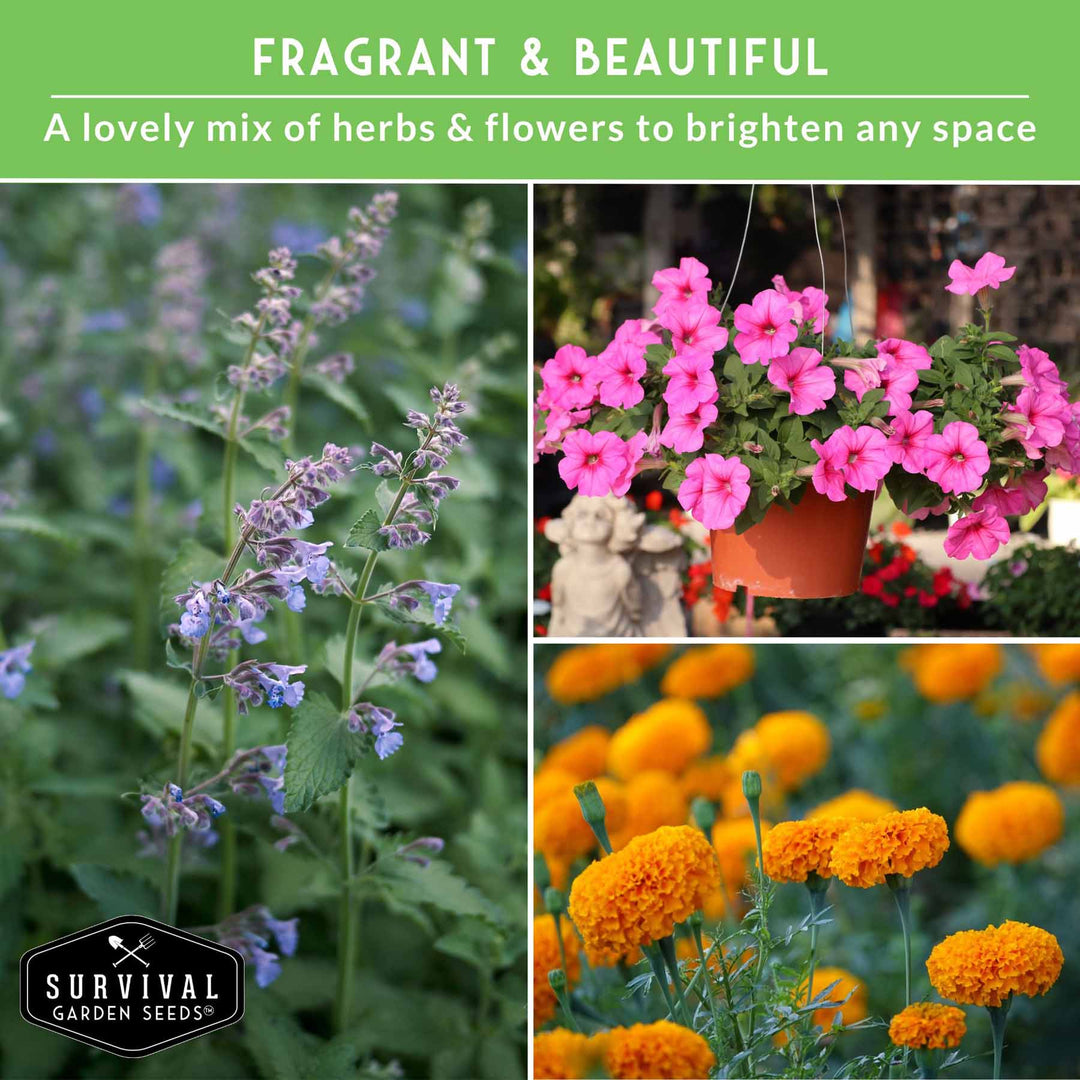 6 Pest Defense Herb & Flower Seeds - Repel Garden Pests Naturally