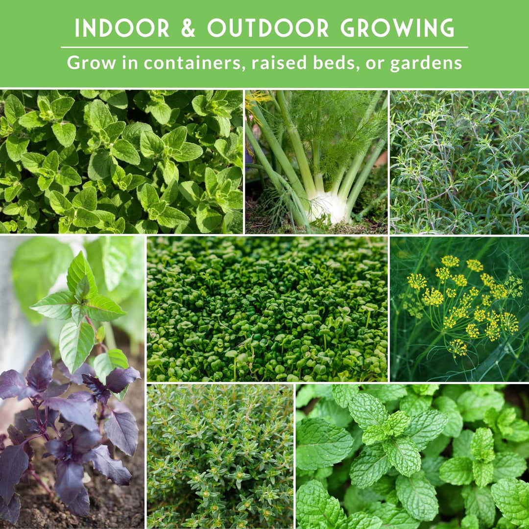 18 Culinary Herb Seed Collection – Heirloom Herbs for Cooking, Teas, Remedies & Year-Round Kitchen Gardens