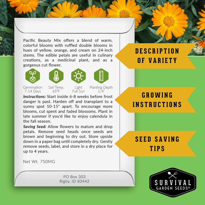 Calendula Seed Collection – Pacific Beauty, Apricot Beauty, Balls Orange & Greenheart for Colorful, Herbal Blooms