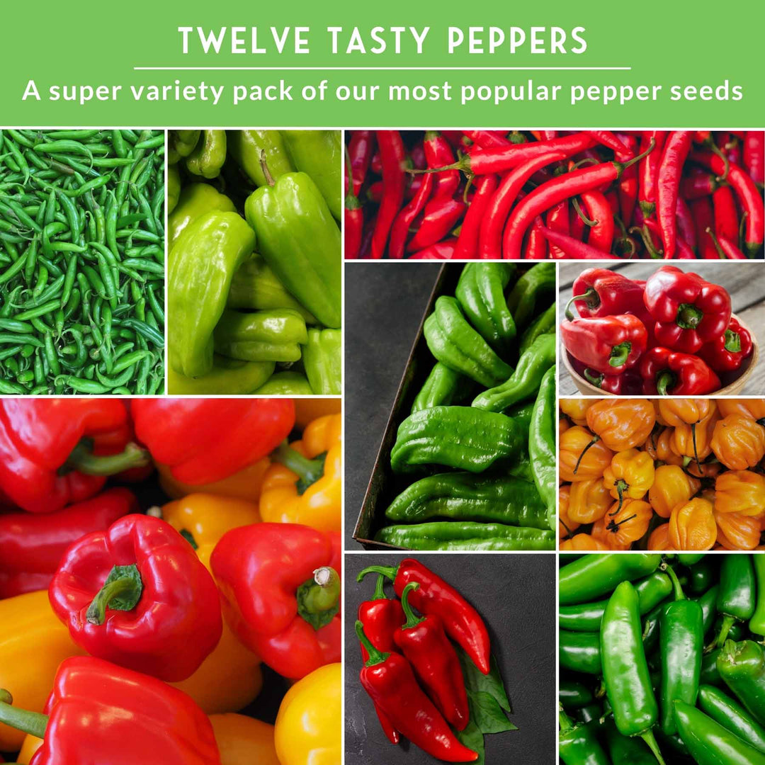 12 Pepper Seed Collection - Hot, Sweet & Colorful Peppers