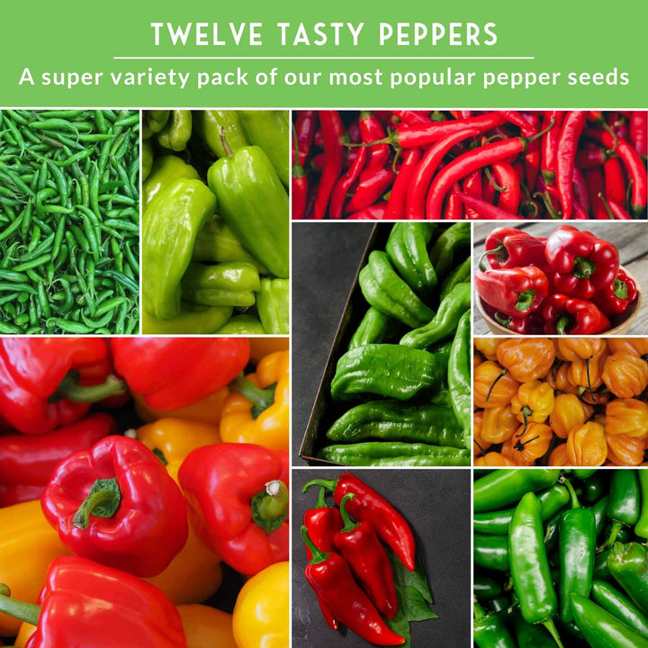 12 Pepper Seed Collection - Hot, Sweet & Colorful Peppers