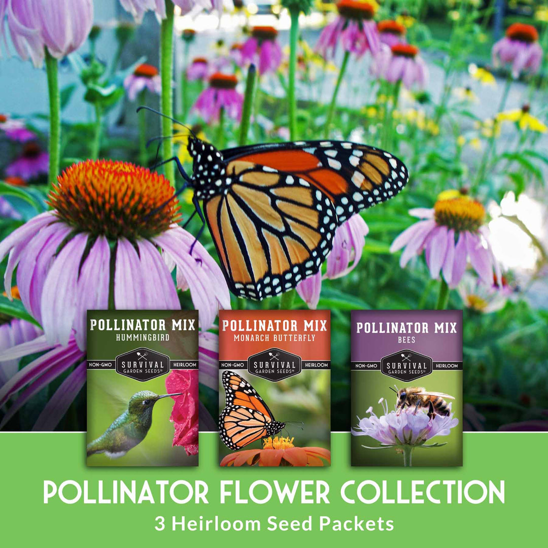 Pollinator Flower Seed Collection - Wildflower Mixes for Bees, Butterflies & Hummingbirds