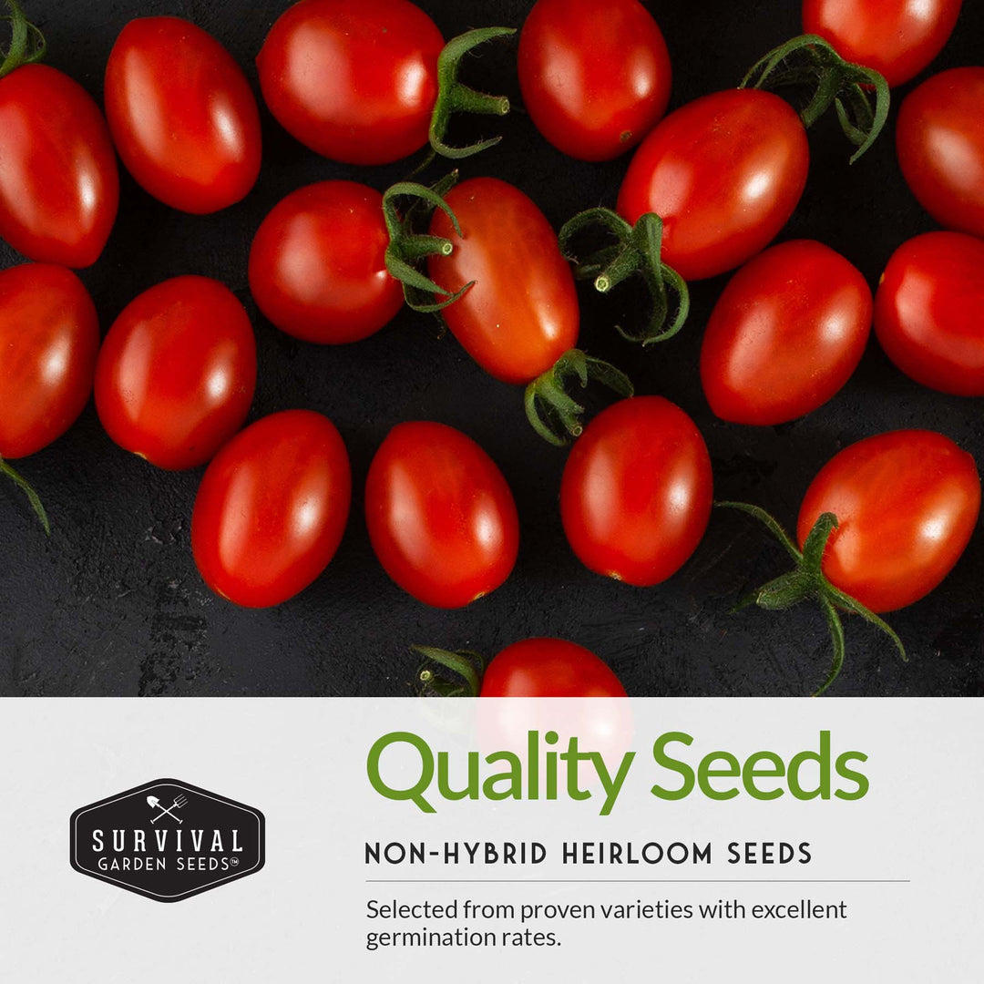 Salsa Garden Seed Collection – 5 Heirloom Non-GMO Varieties for Homemade Red & Green Salsa, Fresh Cooking & Food Preservation