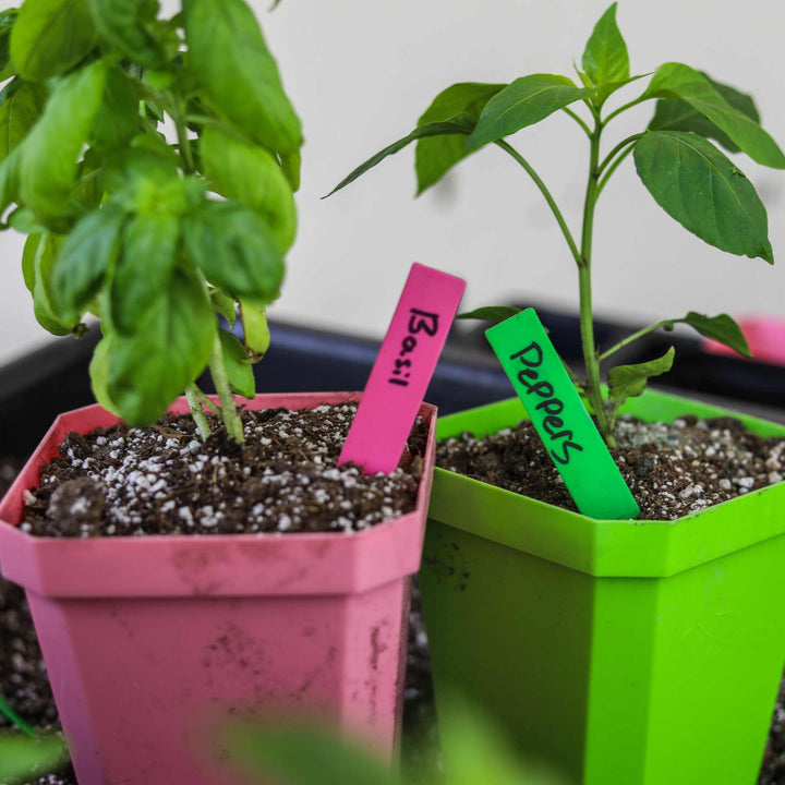 Multi-color Plant Labels | 100 count