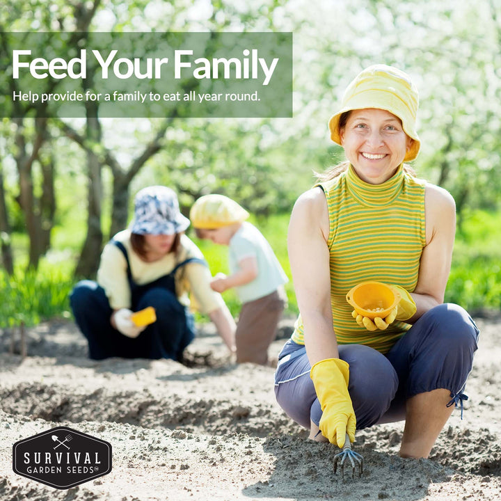 5 Flower Seed Collection - Hollyhock, Shasta Daisy, Coneflower (Echinacea), Marigold, Zinnia