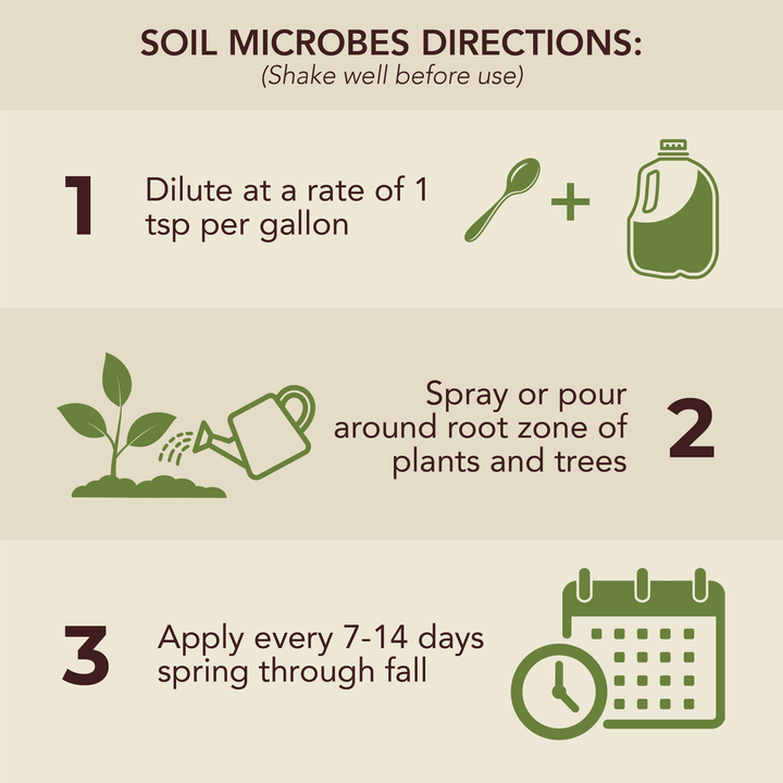 Soil Microbes
