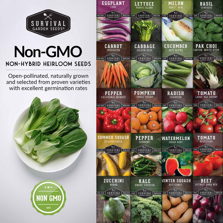 20 Variety Vegetable Garden Starter Seed Collection – Non-GMO Heirloom Kit for Beginner-Friendly Home Growing