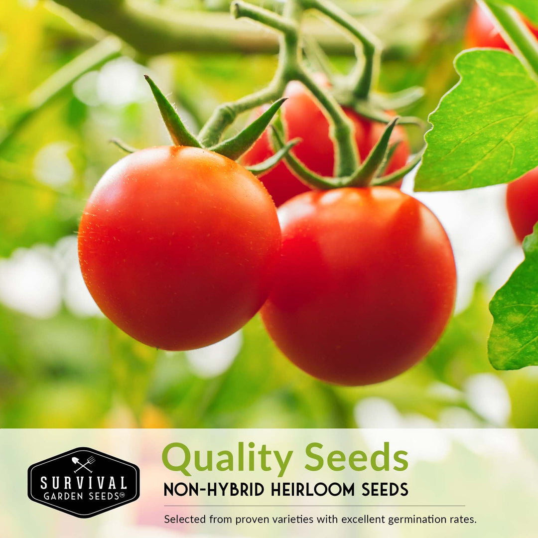5 Tomato Collection -  Cherokee Purple, Roma, Large Red Cherry, Great White, & Beefsteak
