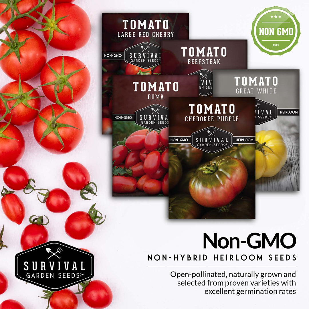 5 Tomato Collection -  Cherokee Purple, Roma, Large Red Cherry, Great White, & Beefsteak