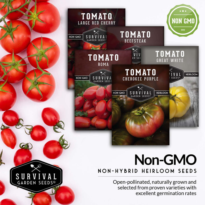 5 Tomato Collection -  Cherokee Purple, Roma, Large Red Cherry, Great White, & Beefsteak