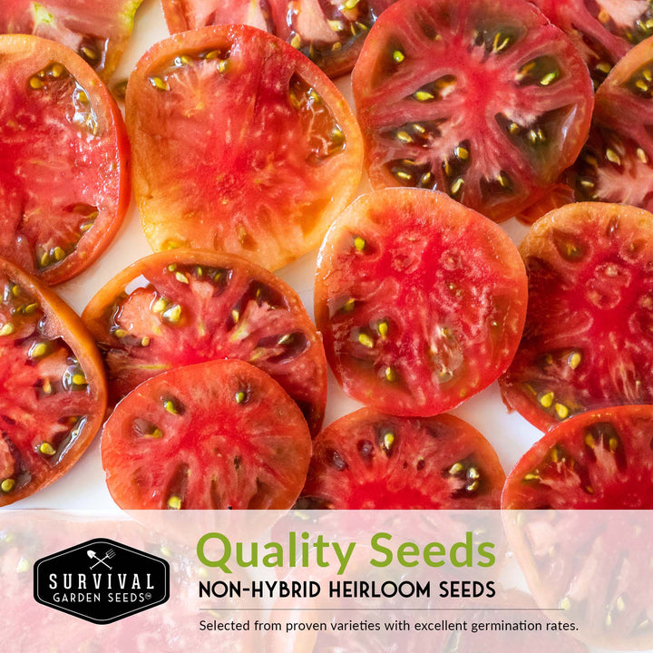 Colorful Tomato Collection - Black Krim, Great White, Aunt Ruby’s German Green, Hillbilly & Cherokee Purple