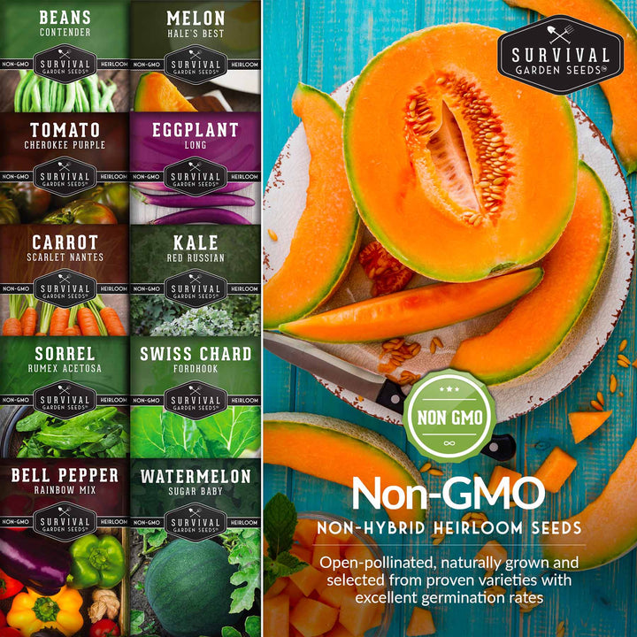 Drought-Tolerant Vegetable Seeds Variety Pack – 10 Heat-Resilient, Full-Sun Garden Favorites for Dry Climate Growing