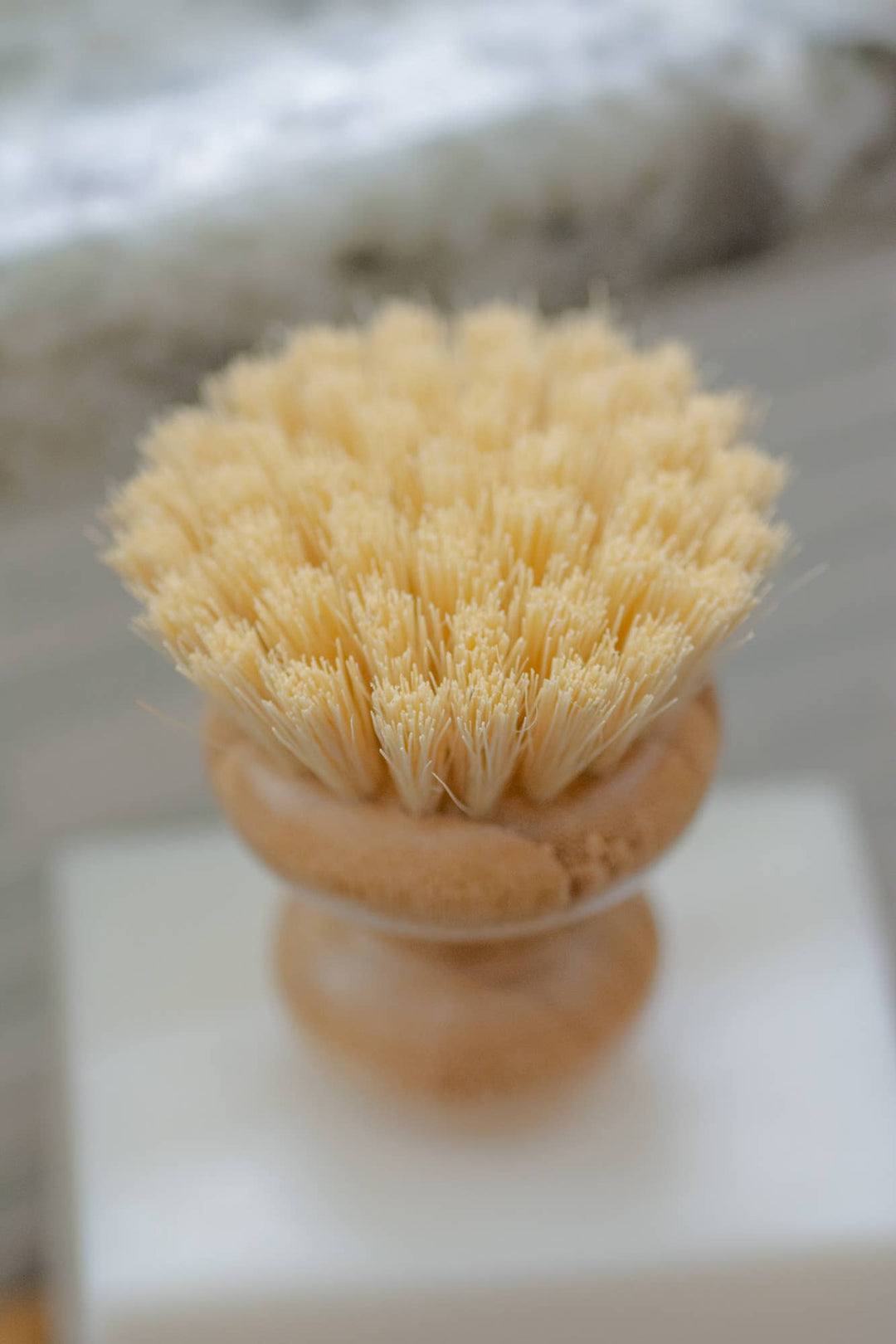 CASA AGAVE® Dish Washing Brush - No Tox Life