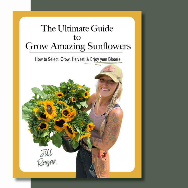 Grow Amazing Sunflowers (E-Book)