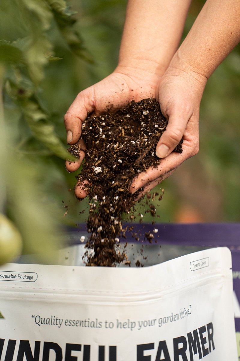 Houseplant Potting Mix