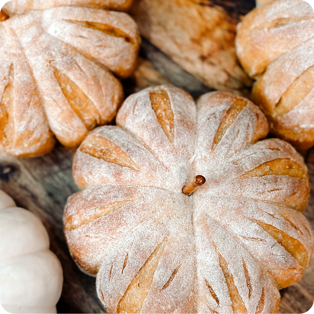 A Taste of Sourdough Cookbook (eBook)