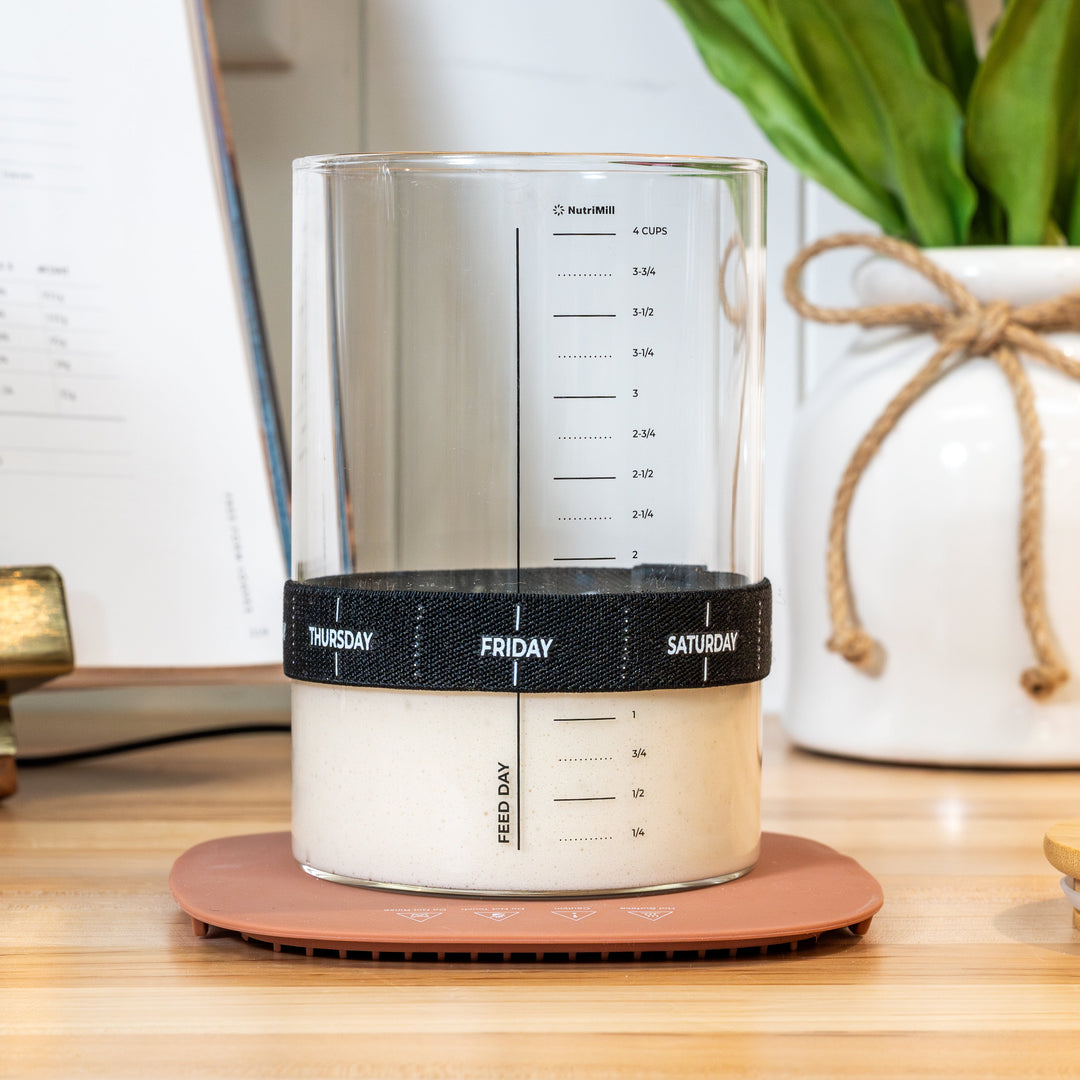 Sourdough Warmer