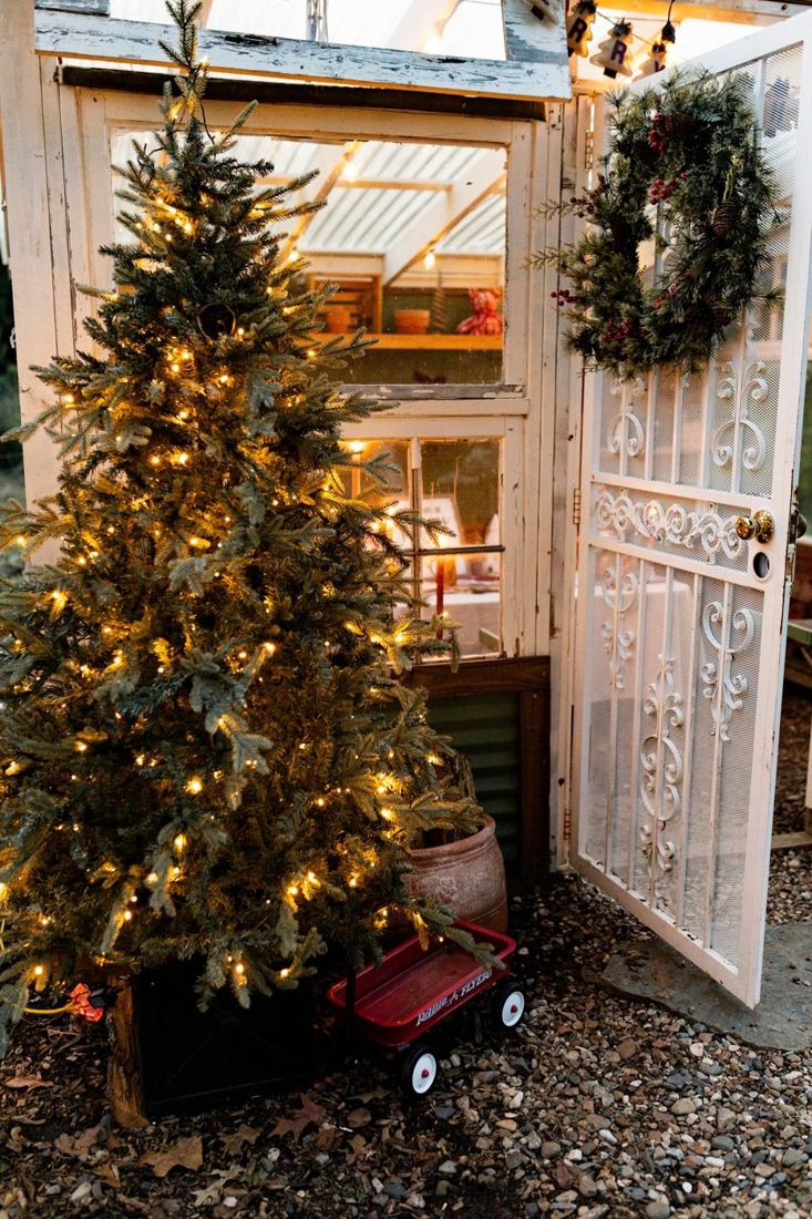 The greenhouse door open beside a glowing Christmas tree