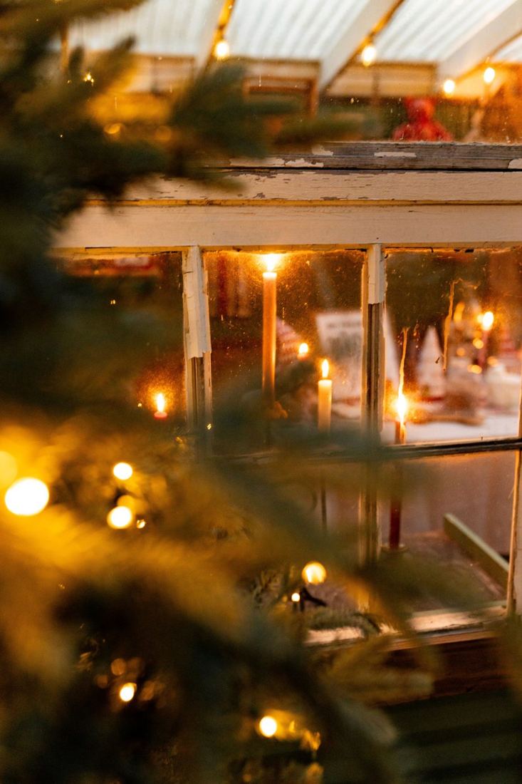 Tapers glowing behind the greenhouse window panes through soft tree lights